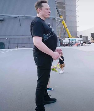 Chubby Elon — historical_memo post